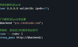 Nginx使用resolver配置解决域名解析成ipv6的问题