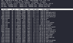 Linux系统中负载过高问题的排查思路与解决方案